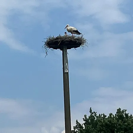 Voerde-goetterswickerhamm-