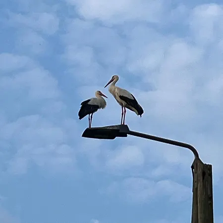 Apartamento Voerde-goetterswickerhamm-