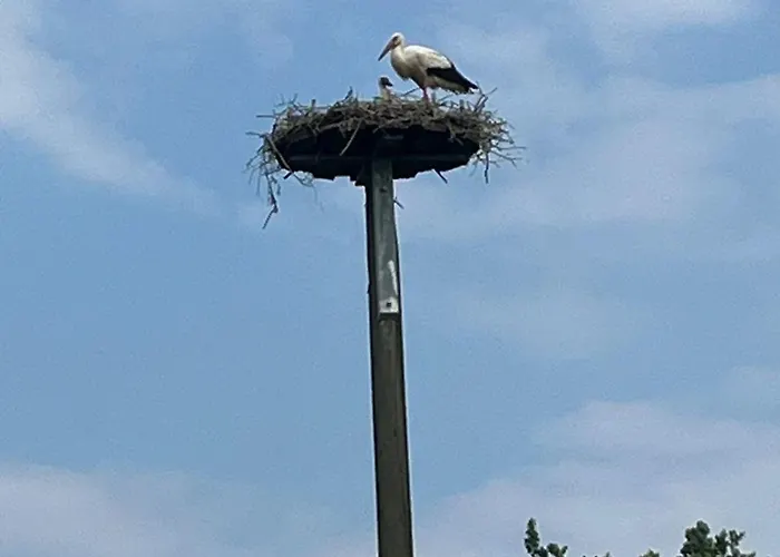 Voerde-goetterswickerhamm-