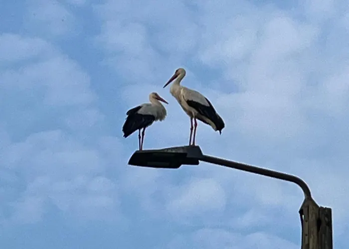 شقة Voerde-goetterswickerhamm-